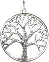 Life Tree