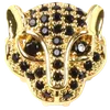 Arabian Leopard