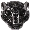 Arabian Leopard